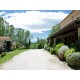 Properties for Sale_Restored Farmhouses _PRESTIGIOUS BED AND BREAKFAST FOR SALE IN LE MARCHE REGION Luxury tourist activity  in between the hills of Italy in Le Marche_19